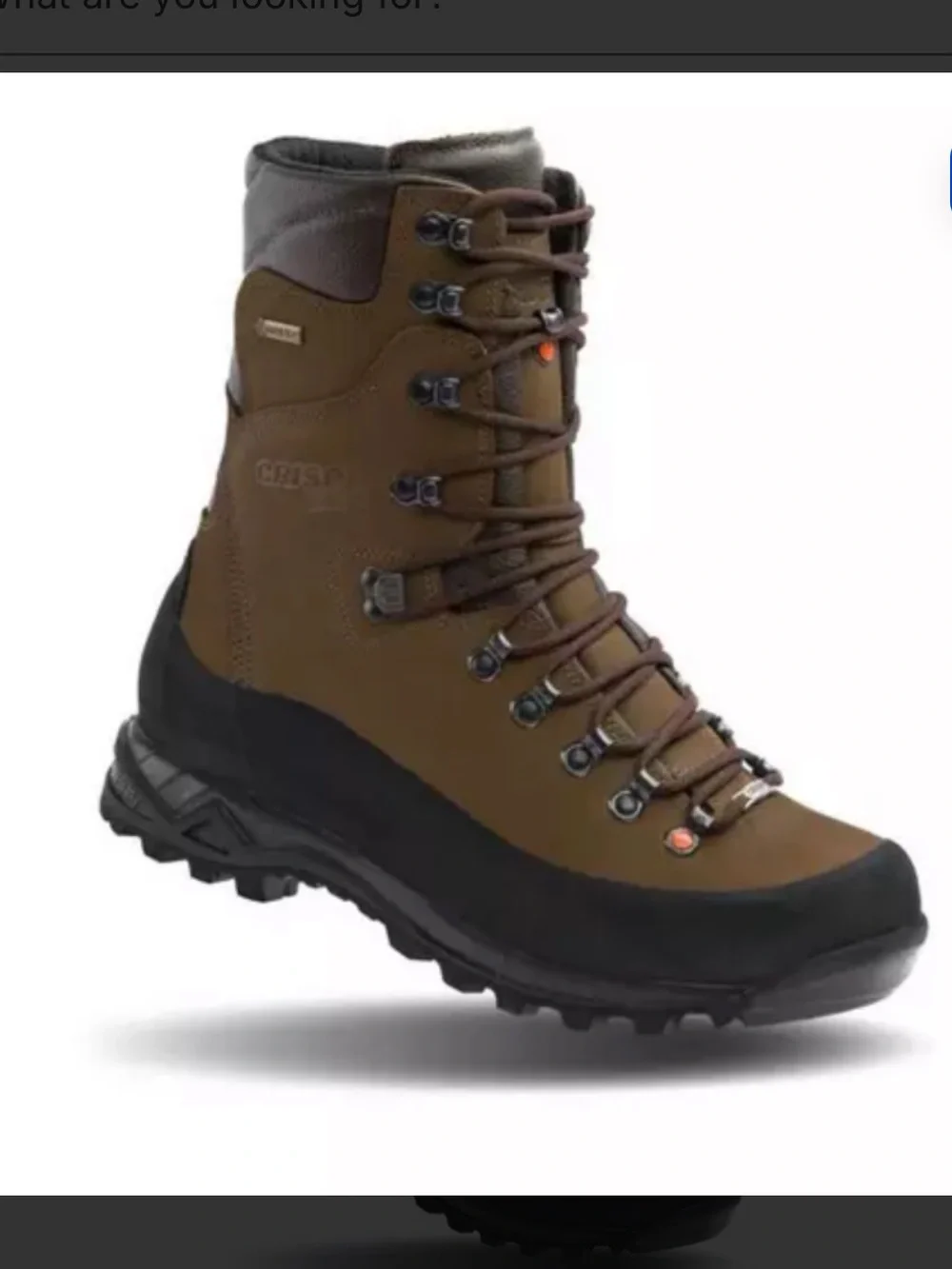 Men's Crispi Guide GTX Non-Insulated Boots